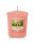 Yankee Candle Votivkerze THE LAST PARADISE - Kerze mit Brenndauer bis zu 15 Stunden