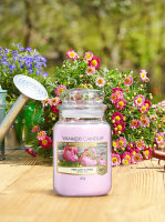 Yankee Candle Duftkerze im Glas (gross) PINK LADY SLIPPER...