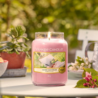 Yankee Candle Duftkerze im Glas (groß) SUNNY DAYDREAM - Kerze mit Brenndauer bis zu 150 Stunden