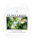 Wax Melts Lily of the Valley - Village Candle - Duftwachs, Wachs Melts