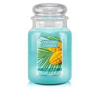 Country Candle MANGO NECTAR Duftkerze im Glas...