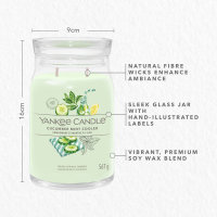 Yankee Candle Duftkerze im Glas (groß) CUCUMBER MINT COOLER - Kerze mit Brenndauer bis zu 90 Stunden