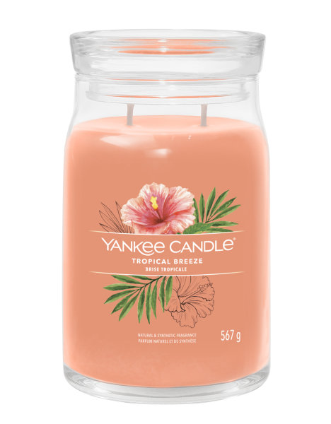 Yankee Candle Duftkerze im Glas (groß) TROPICAL BREEZE - Kerze mit Brenndauer bis zu 90 Stunden