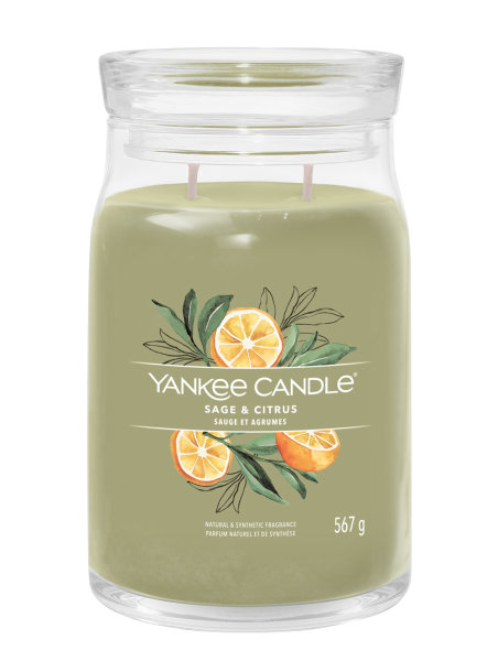 Yankee Candle Duftkerze im Glas (groß) SAGE & CITRUS - Kerze mit Brenndauer bis zu 90 Stunden