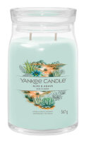 Yankee Candle Duftkerze im Glas (groß) ALOE & AGAVE - Kerze mit Brenndauer bis zu 90 Stunden