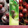 Black Cherry - Yankee Candle Signature Duftkerze im Glas (groß) - Kerze mit Brenndauer bis zu 90 Stunden