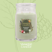 Enchanted Orchard - Yankee Candle Signature Duftkerze im Glas (groß) - Kerze mit Brenndauer bis zu 90 Stunden