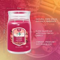 Santa on Skis - Yankee Candle Winterkollektion Apres Ski Signature Duftkerze im Glas (groß) - Kerze mit Brenndauer bis zu 90 Stunden