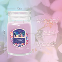 Summit Stargazing - Yankee Candle Winterkollektion Apres Ski Signature Duftkerze im Glas (groß) - Kerze mit Brenndauer bis zu 90 Stunden