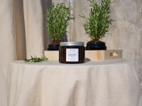 The Olphactory Duftkerze Herbarium ROSMARINO im Glas 360 g  - Duftkerzen, Kerze mit Duft