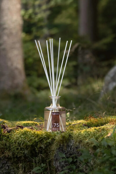 My Senso Mystic Forest: Glasflakon mit eingesetzten Duftstäbchen