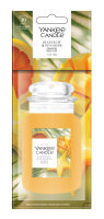Auto Duft, Lufterfrischer STARFRUIT & SUNSHINE -...