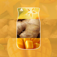 Auto Duft, Lufterfrischer STARFRUIT & SUNSHINE - Yankee Candle Car Jar Paper, Raumduft, Autoduft
