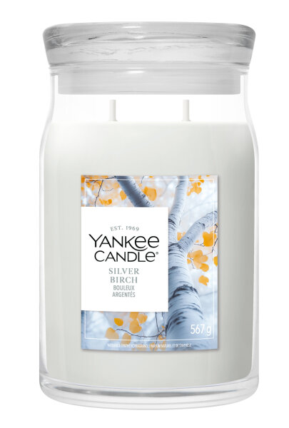 Silver Birch - Yankee Candle Herbstkollektion Signature Duftkerze im Glas (groß) - Kerze mit Brenndauer bis zu 80 Stunden