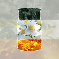 Silver Birch - Yankee Candle Herbstkollektion Signature...