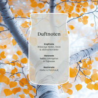 Silver Birch - Yankee Candle Herbstkollektion Signature Duftkerze im Glas (groß) - Kerze mit Brenndauer bis zu 80 Stunden