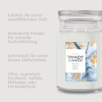 Silver Birch - Yankee Candle Herbstkollektion Signature Duftkerze im Glas (groß) - Kerze mit Brenndauer bis zu 80 Stunden
