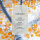 Silver Birch - Yankee Candle Herbstkollektion Signature Duftkerze im Glas (groß) - Kerze mit Brenndauer bis zu 80 Stunden