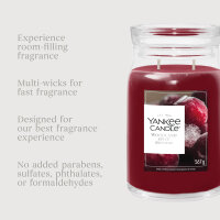 Woodland Spice - Yankee Candle Winterkollektion Signature Duftkerze im Glas (groß) - Kerze mit Brenndauer bis zu 80 Stunden