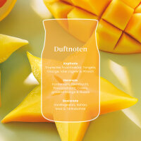Starfruit & Sunshine - Yankee Candle Sommerduft Signature Duftkerze im Glas (groß) - Kerze mit Brenndauer bis zu 80 Stunden