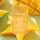 Starfruit & Sunshine - Yankee Candle Sommerduft Signature Duftkerze im Glas (groß) - Kerze mit Brenndauer bis zu 80 Stunden