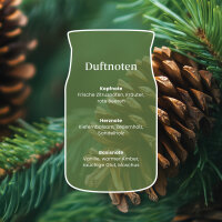 Balsam & Cedar Fireside - Yankee Candle Winterkollektion Signature Duftkerze im Glas (groß) - Kerze mit Brenndauer bis zu 80 Stunden