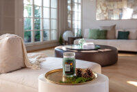Balsam & Cedar Fireside - Yankee Candle Winterkollektion Signature Duftkerze im Glas (groß) - Kerze mit Brenndauer bis zu 80 Stunden