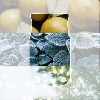 Winter Walk - Yankee Candle Limited Edition Signature Duftkerze im Glas (groß) - Kerze mit Brenndauer bis zu 80 Stunden