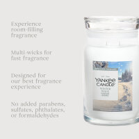 Winter Walk - Yankee Candle Limited Edition Signature Duftkerze im Glas (groß) - Kerze mit Brenndauer bis zu 80 Stunden