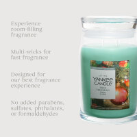 Tree Trimming - Yankee Candle Limited Edition Signature Duftkerze im Glas (groß) - Kerze mit Brenndauer bis zu 80 Stunden